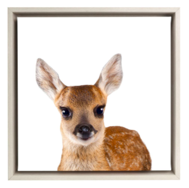 Framed Canvas Deer 30x30