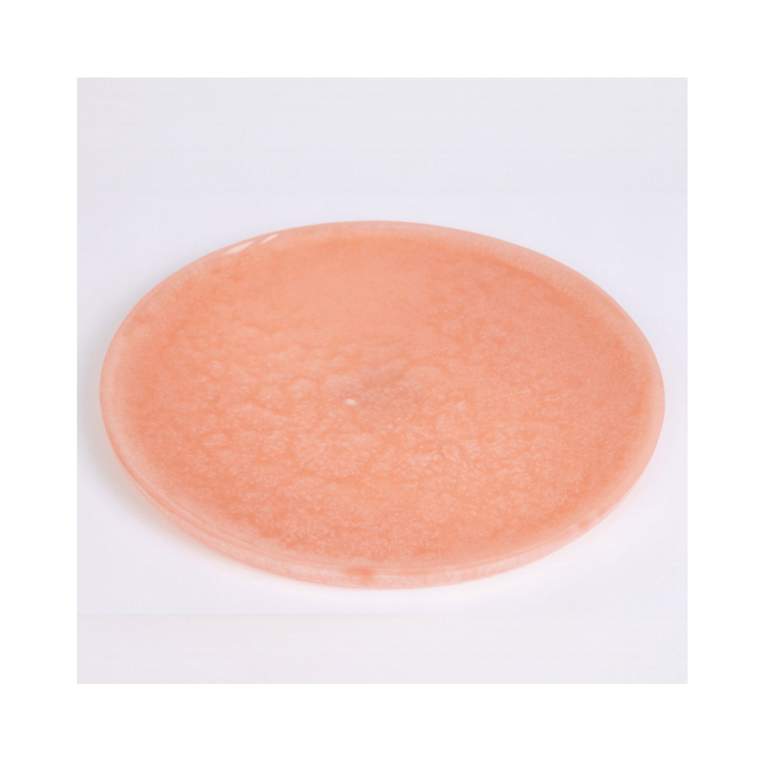 Plate Resin Peach