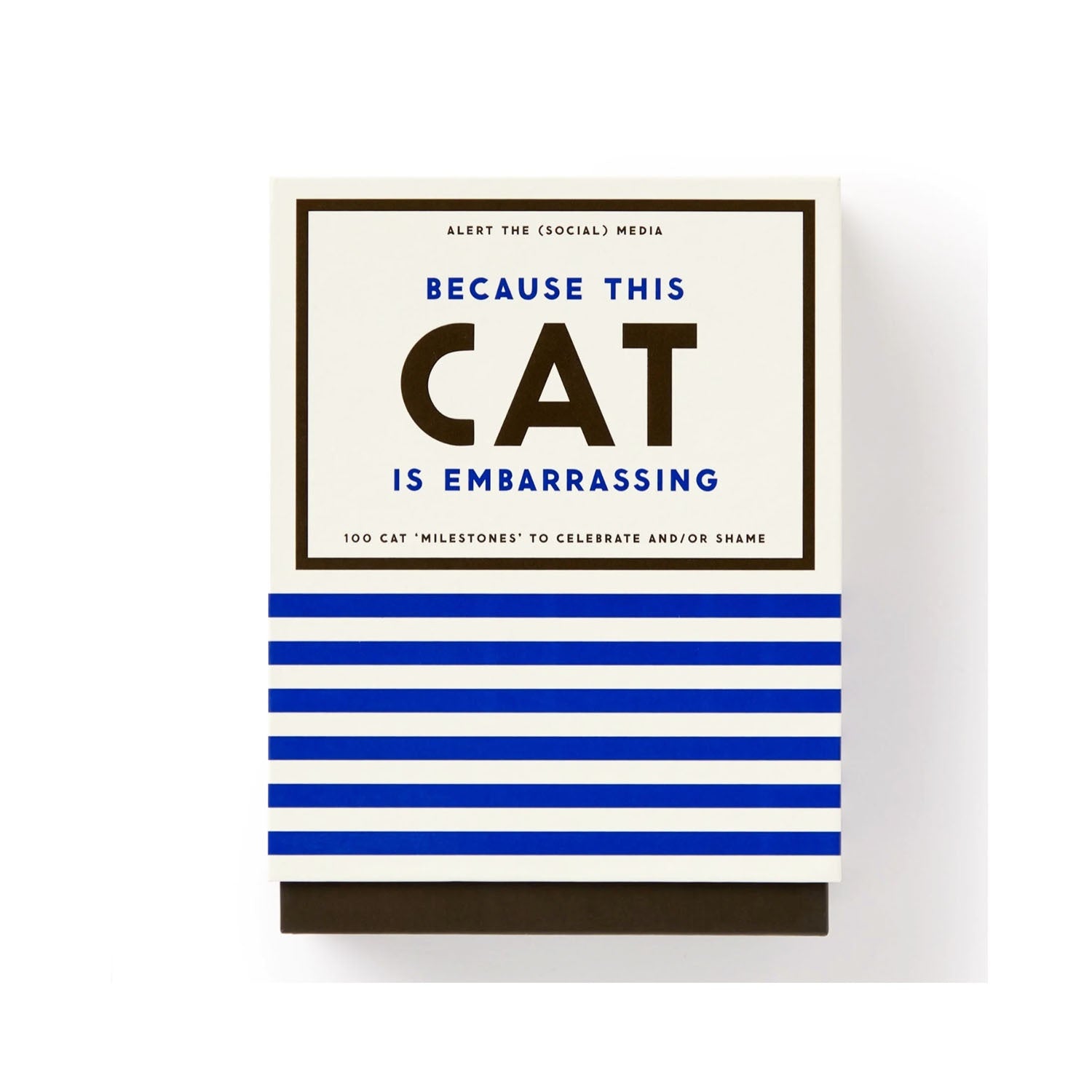 Deck Because This Cat Is Embarrassing