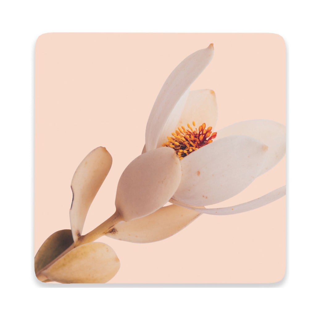 Coaster Flourish Pink Flower
