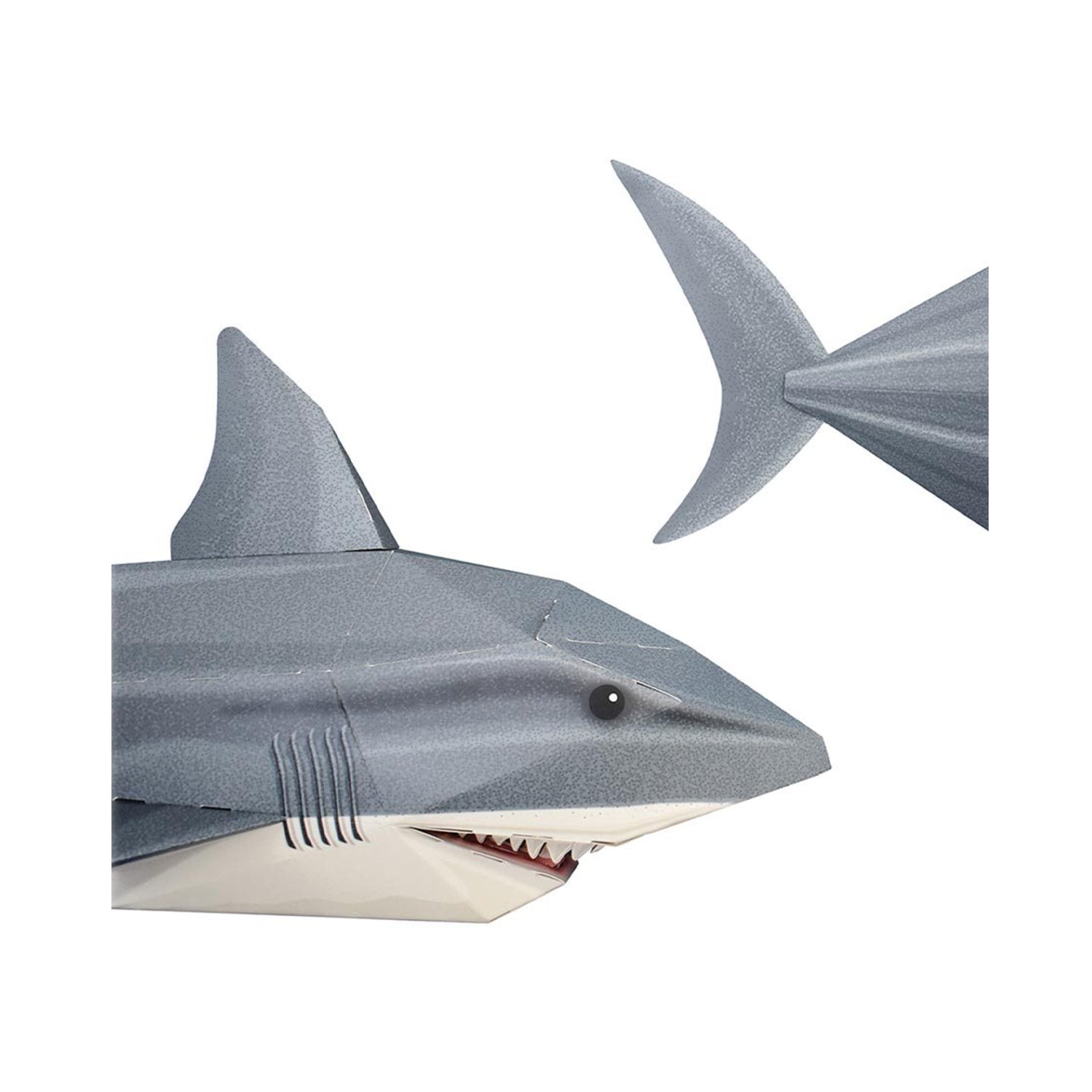 Create Your Own Snappy Shark