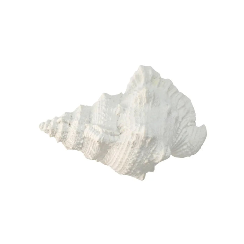 Sea Snail Resin Shell