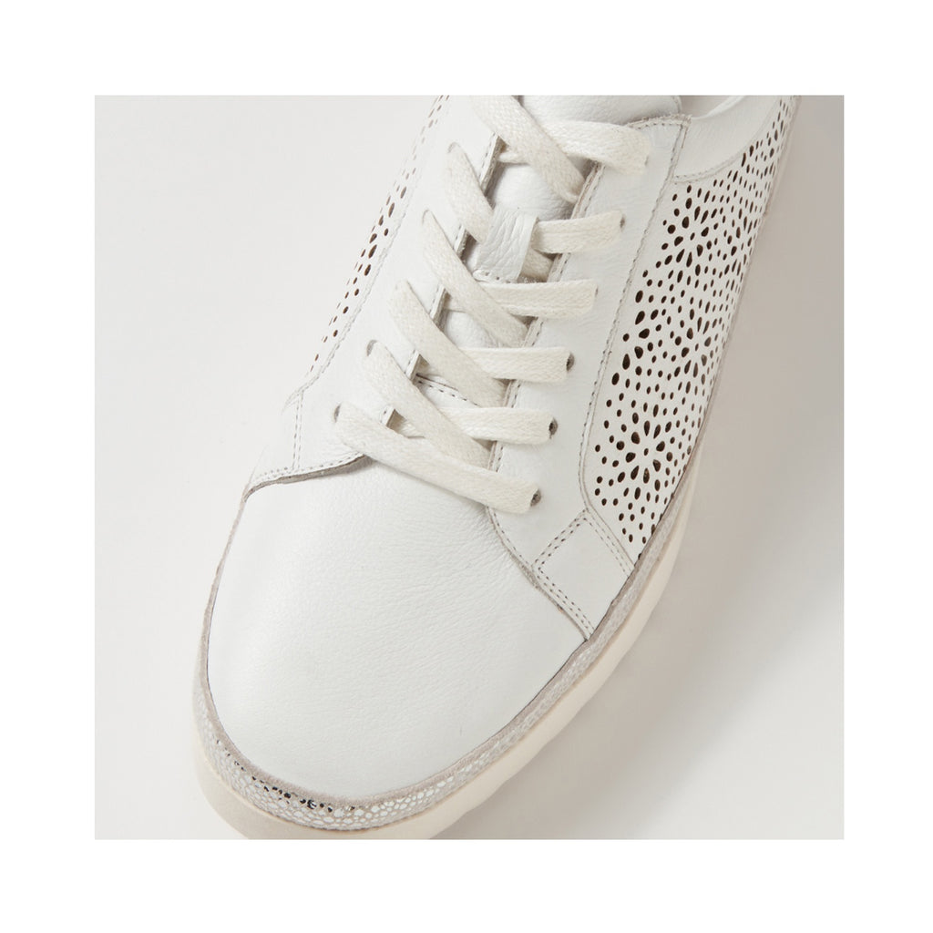 Shoe Atonik - White